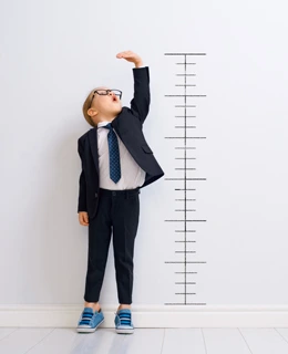 image for the Rast i razvoj